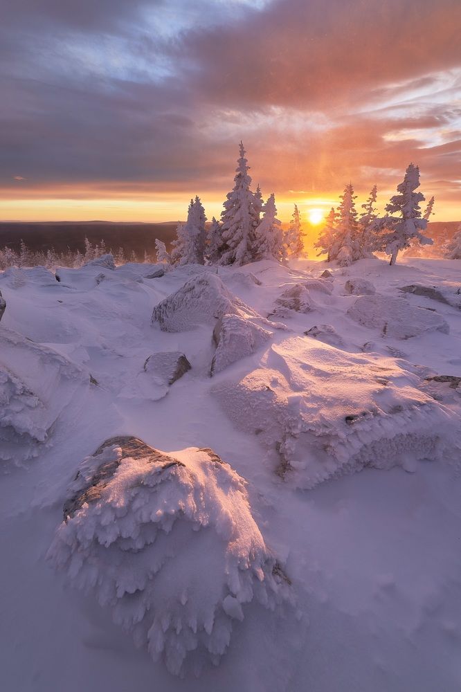 Photograph by Шаньгин Михаил