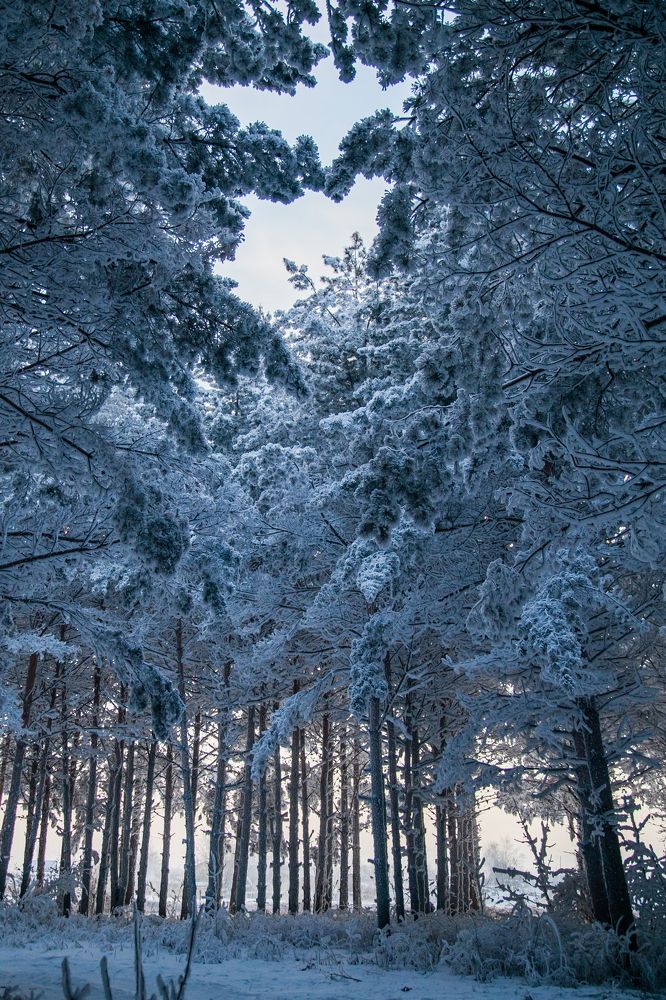 Фотография автора Екатерина Мишкель
