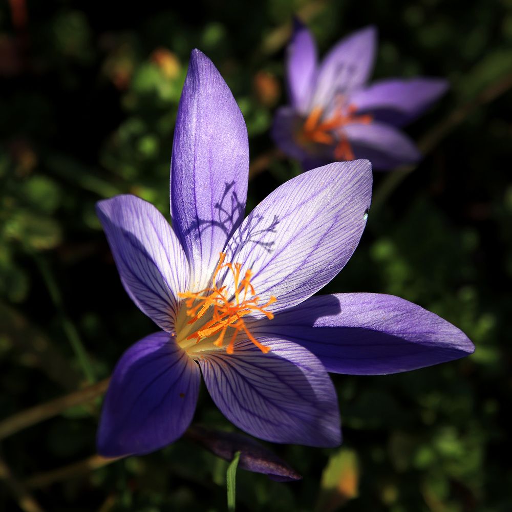 Фотография автора Сергей