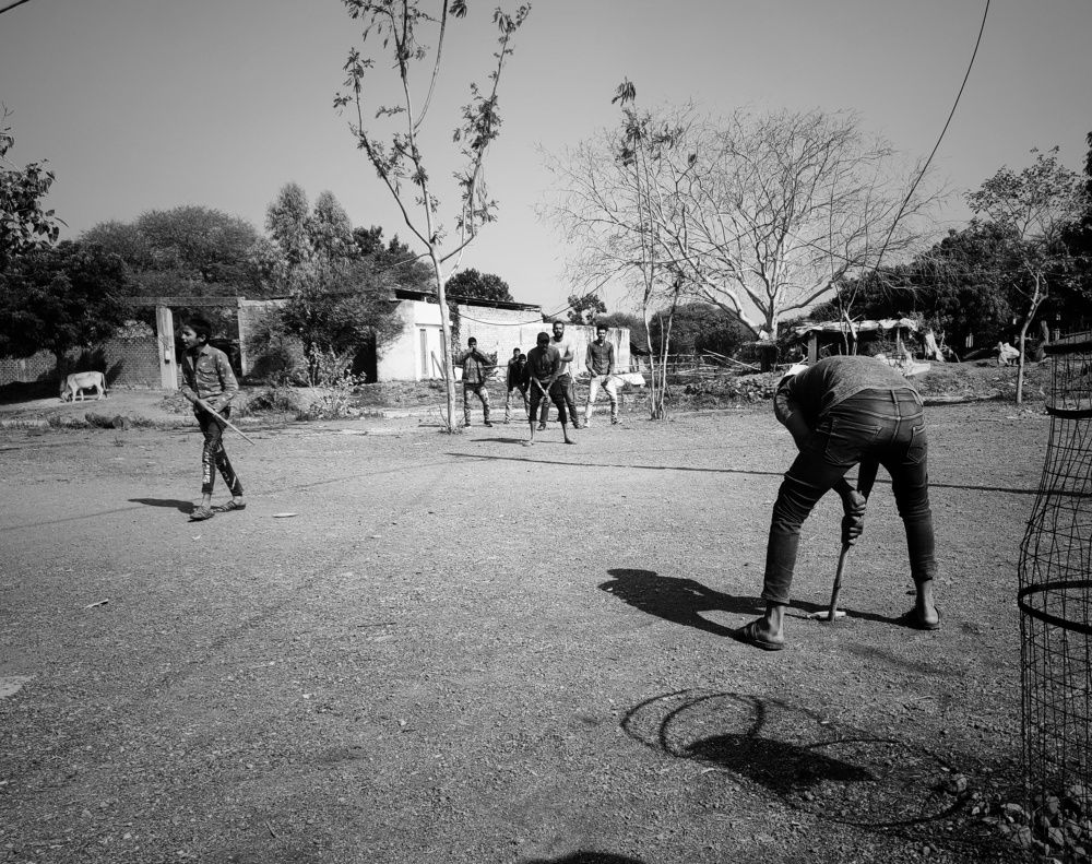 Photo #7010447