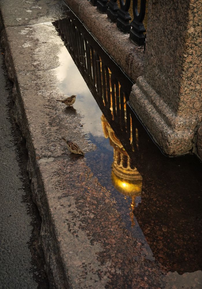 Глоток воды во время зноя.
