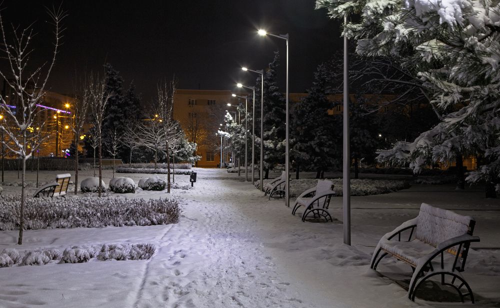 В ожидании Нового Года!