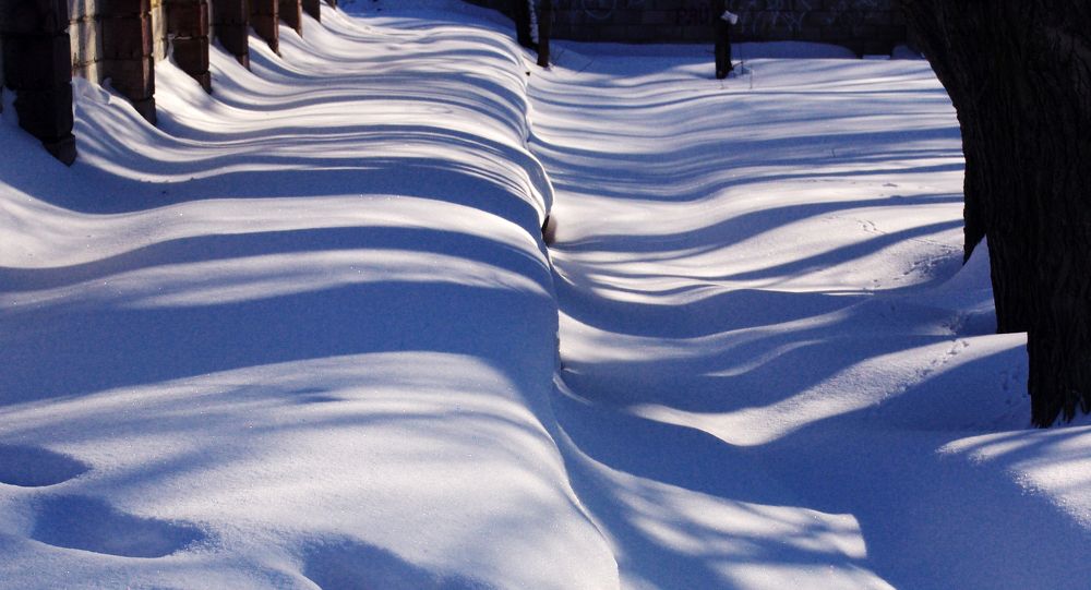 Photograph by Михаил Максимов