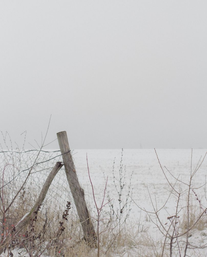 Photograph by Полина Килат