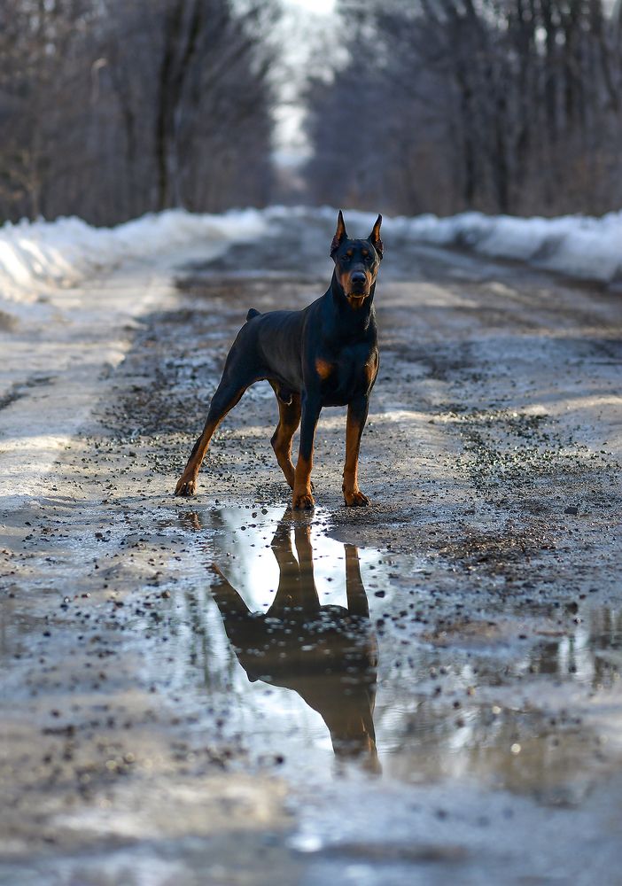 Photograph by Елена Осколкова
