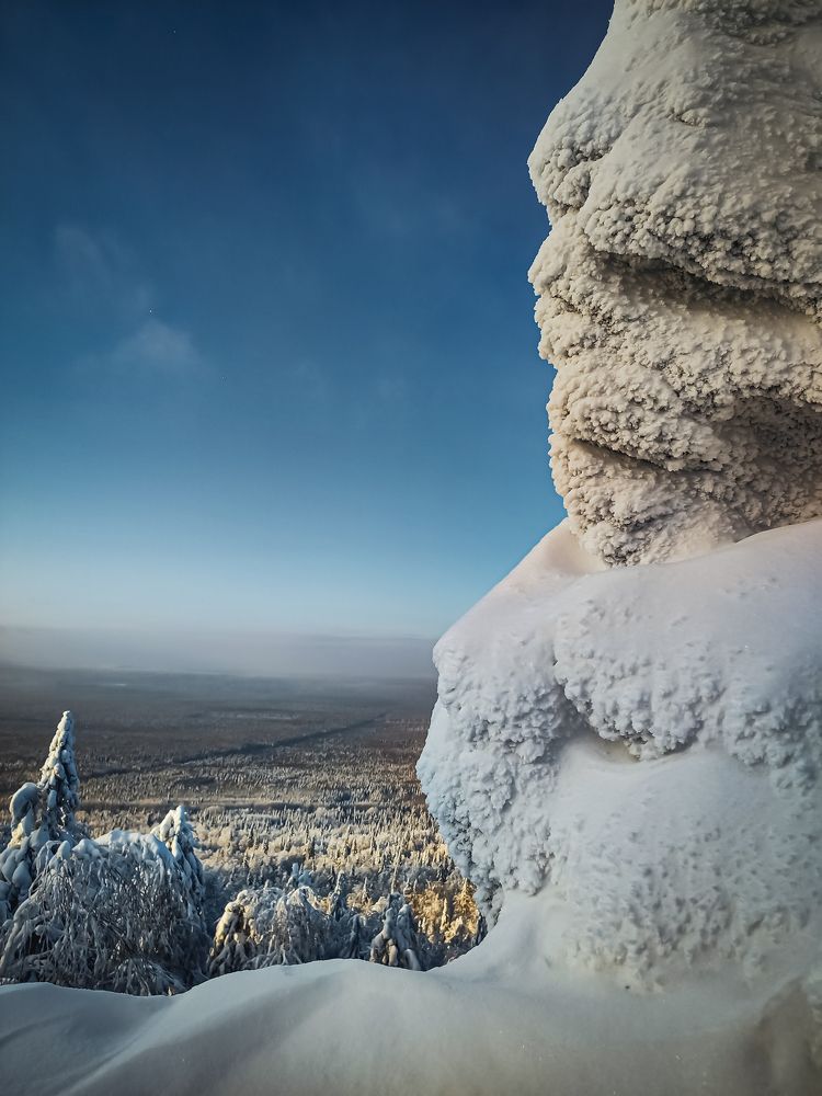 Photograph by Софья Овсянникова