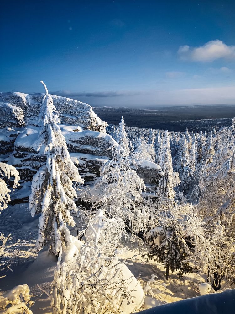 Photograph by Софья Овсянникова