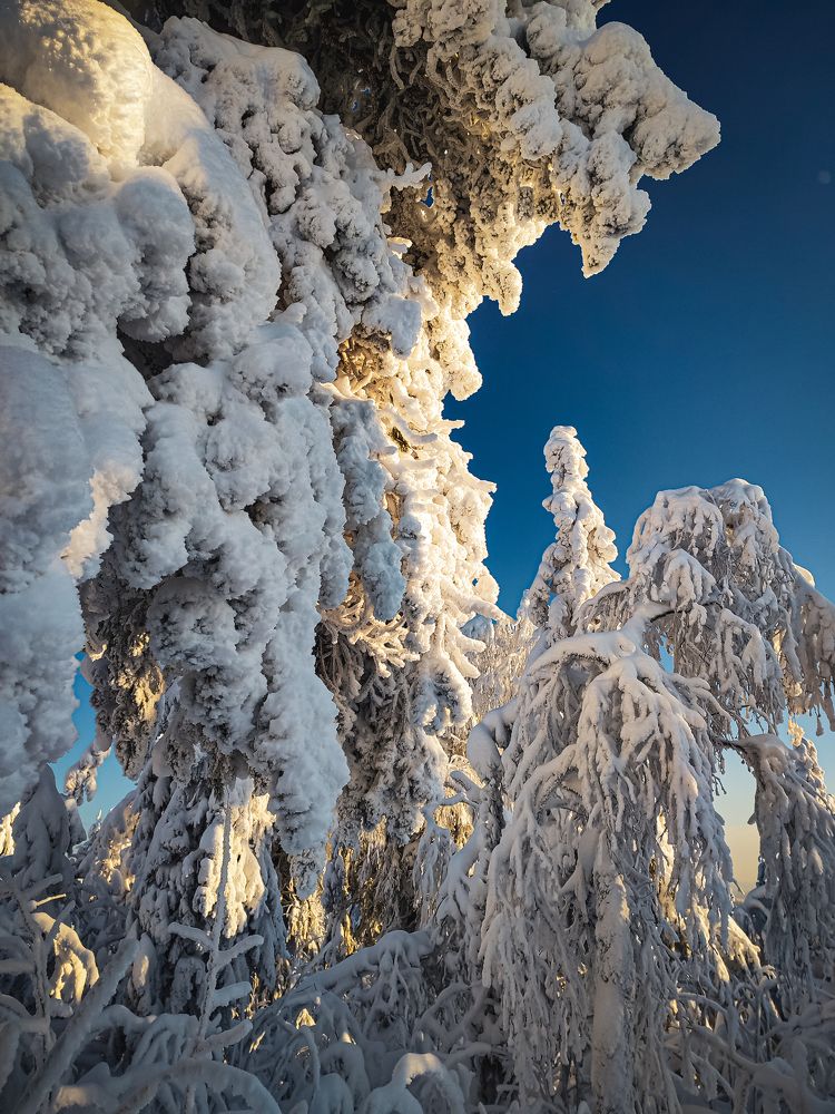 Photograph by Софья Овсянникова