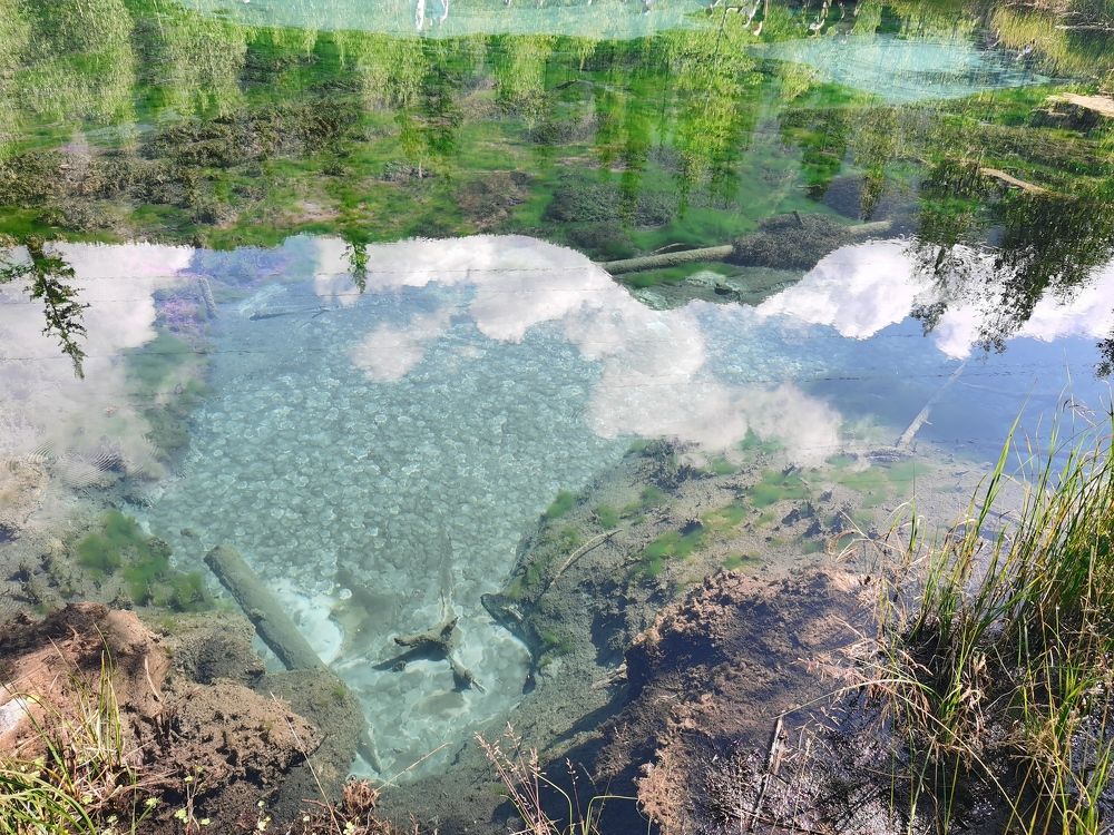 Photograph by Евгений Спиридонов