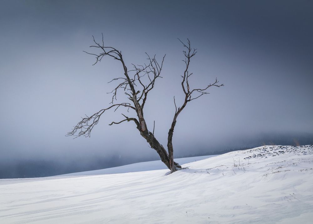 Photograph by Milan Chudoba