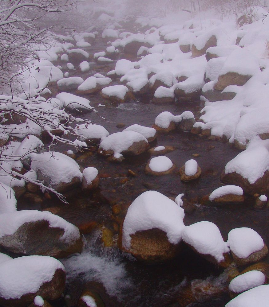 Photograph by Михаил Максимов