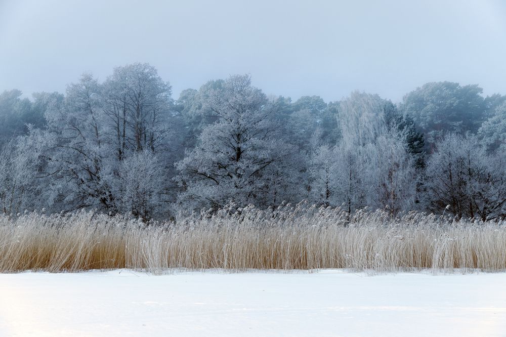 Photograph by Rolandas Valančauskas
