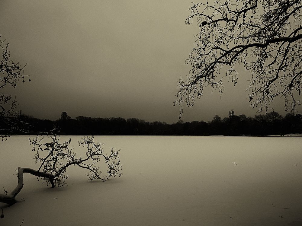 winter silence