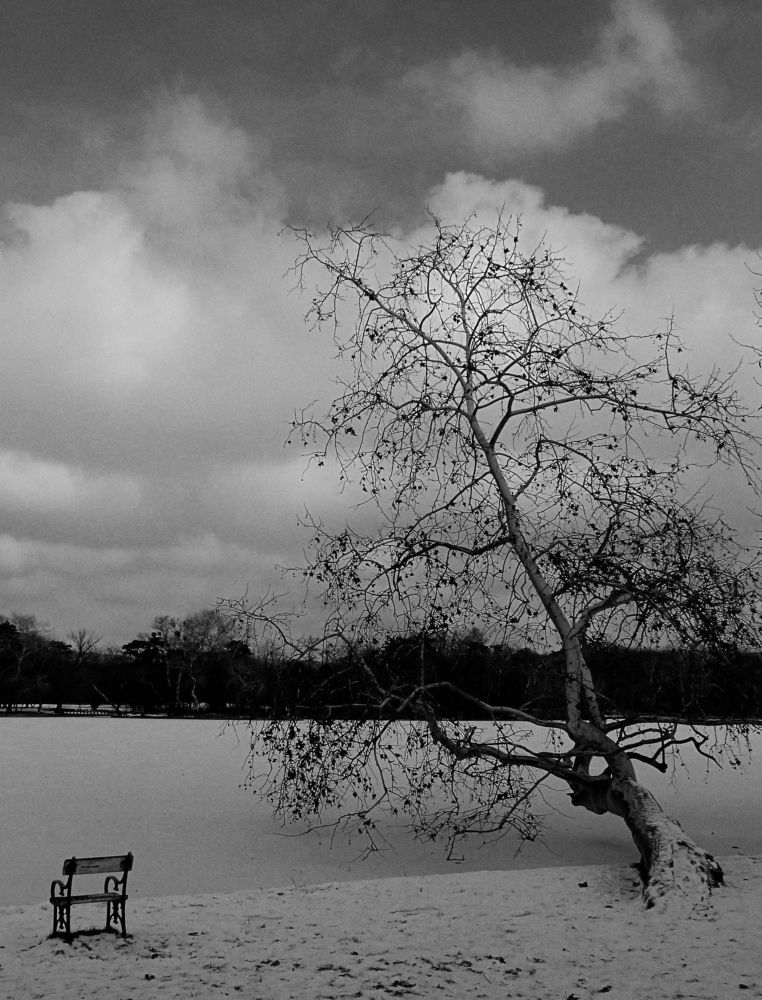 Photograph by Zoltán Paksi