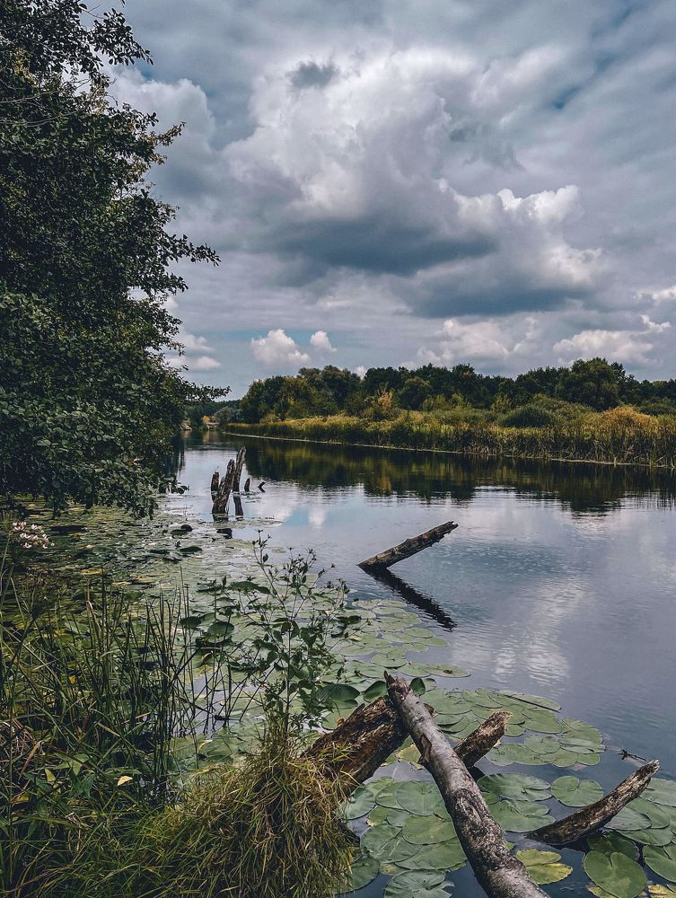Photograph by Виктория Селютина