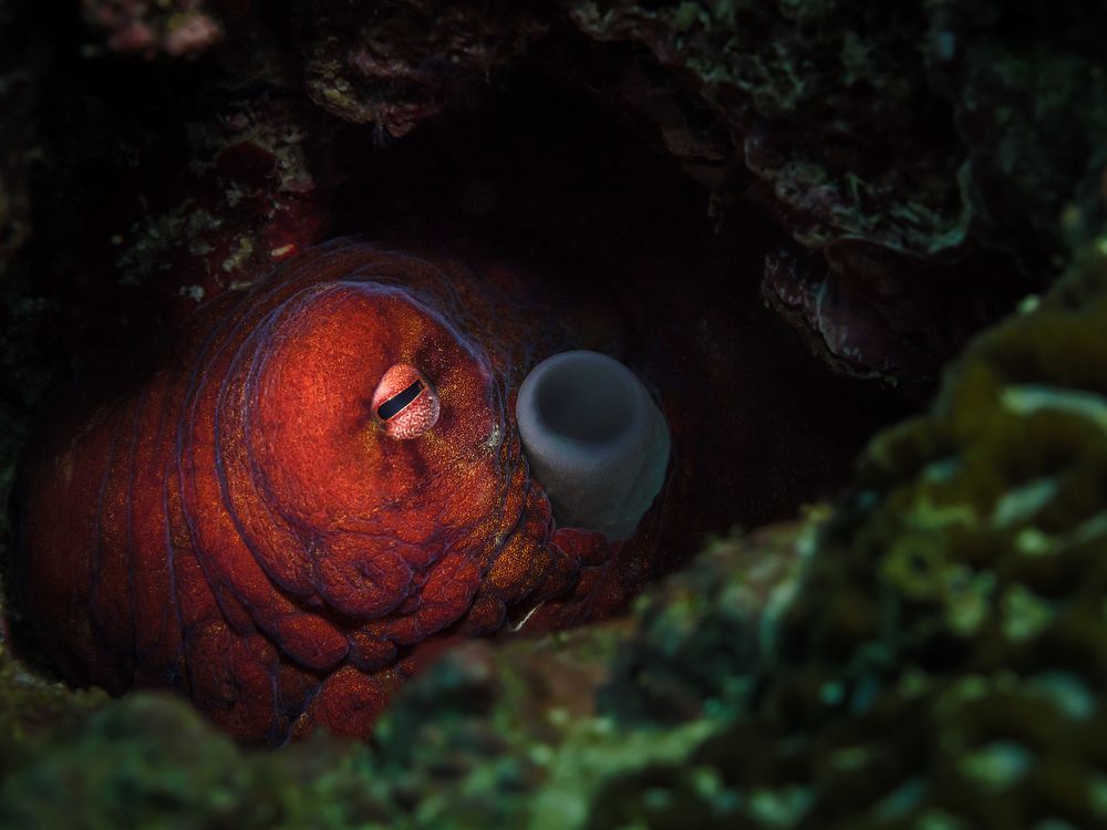 Photograph by Андрей Савин