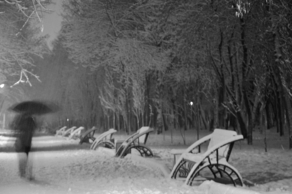 Photograph by Ольга Шевцова