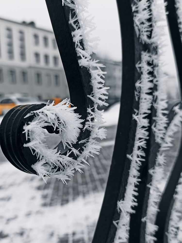 Photograph by Галина Мицевич