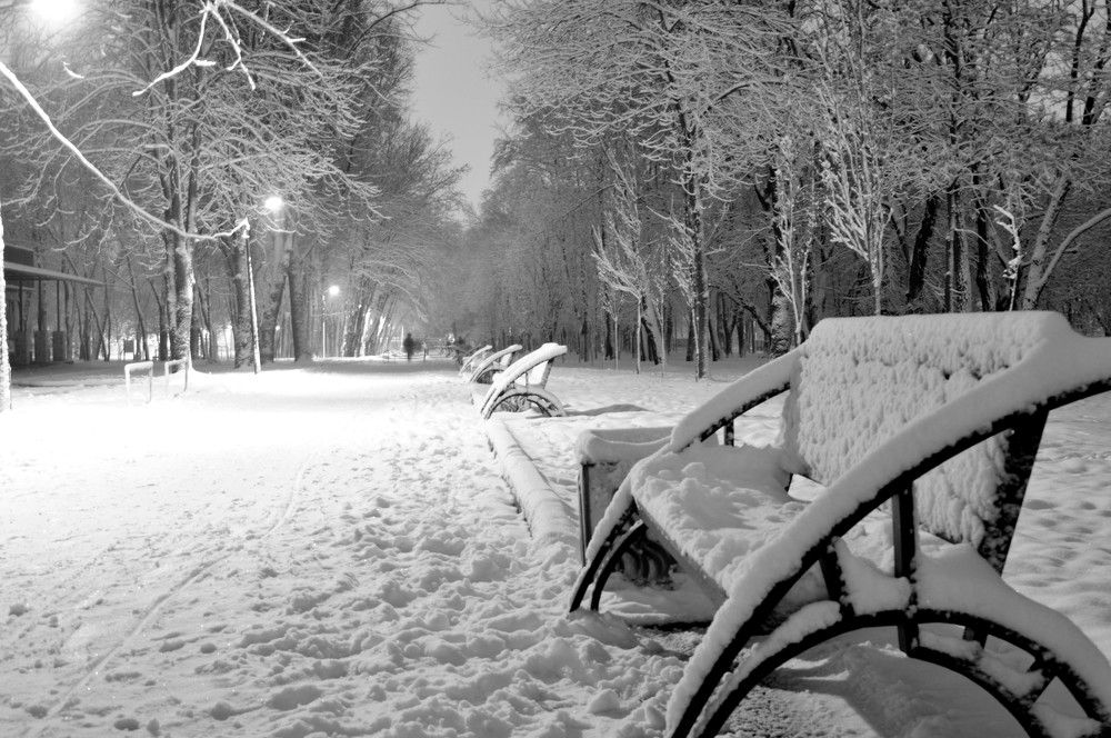 Photograph by Ольга Шевцова