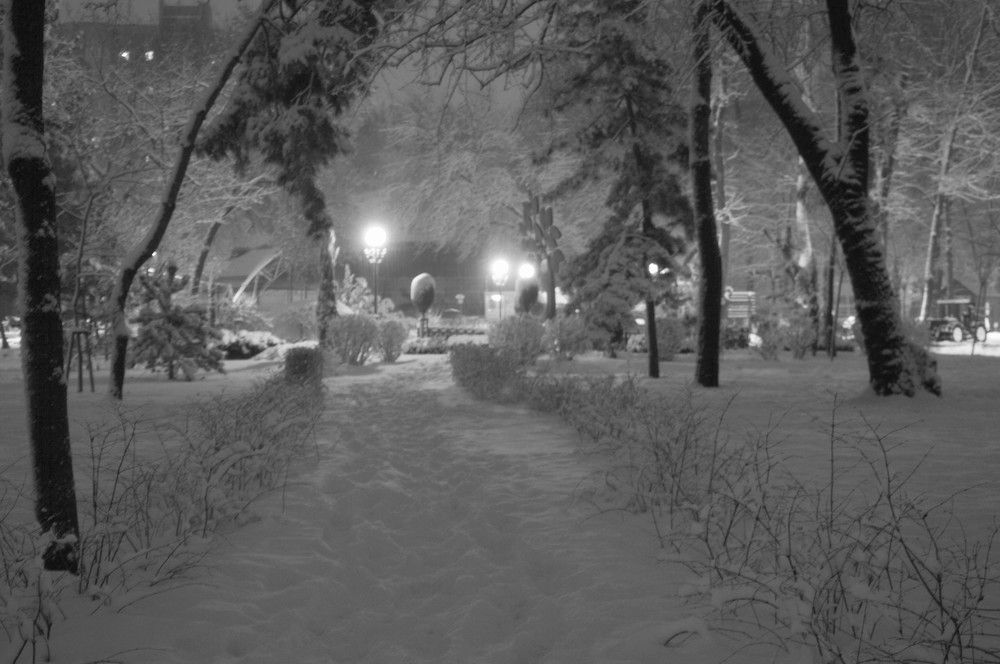 Photograph by Ольга Шевцова