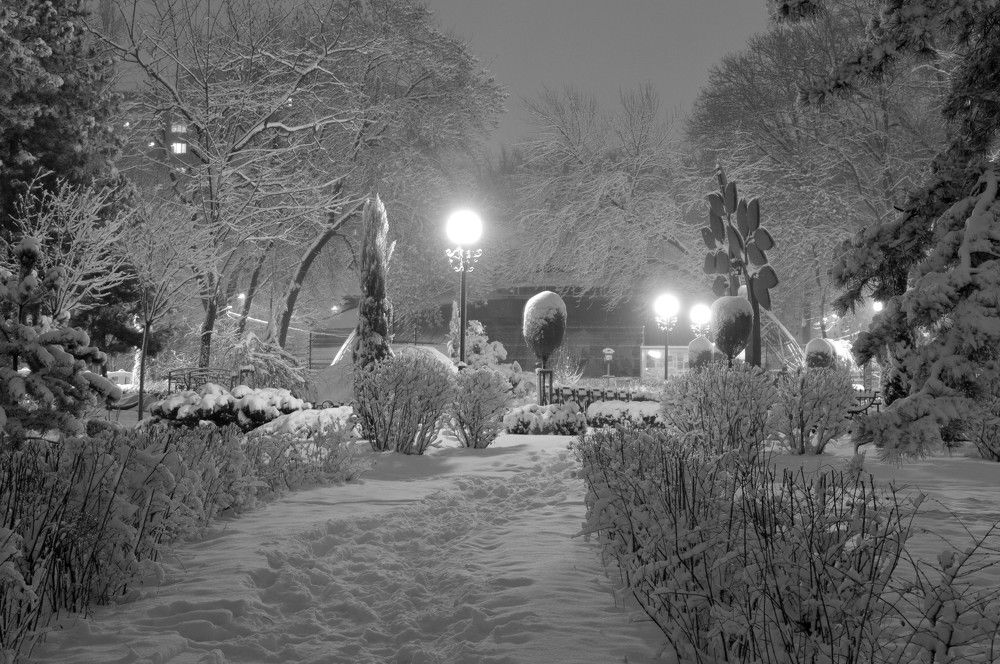 Photograph by Ольга Шевцова