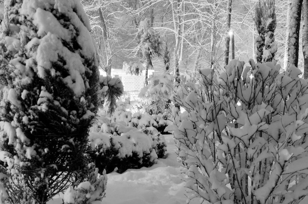 Photograph by Ольга Шевцова