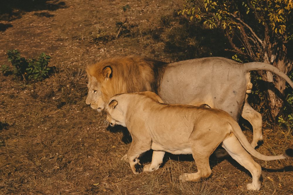 Photograph by Яна Котлярова