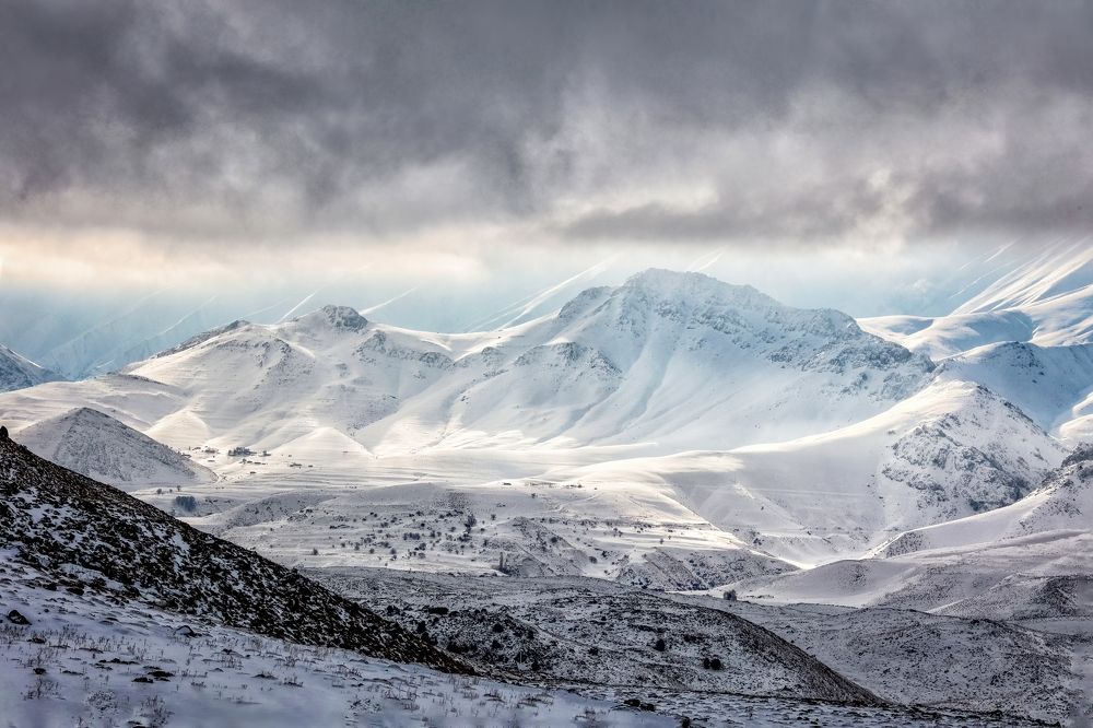 Photograph by Shams Vida