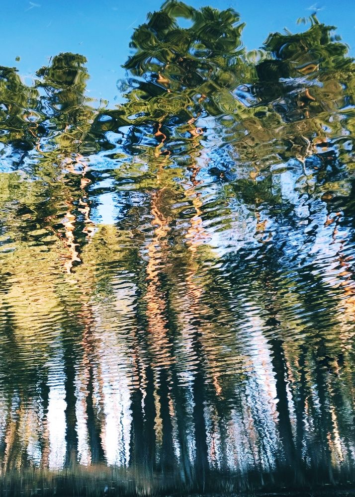 Photograph by Ефремова Евгения