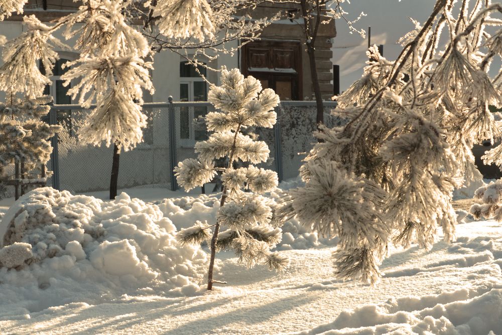 Photograph by Сергей Кириллов