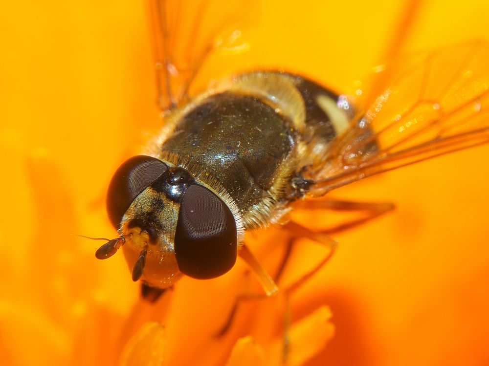 Photograph by Евгения Чепурная