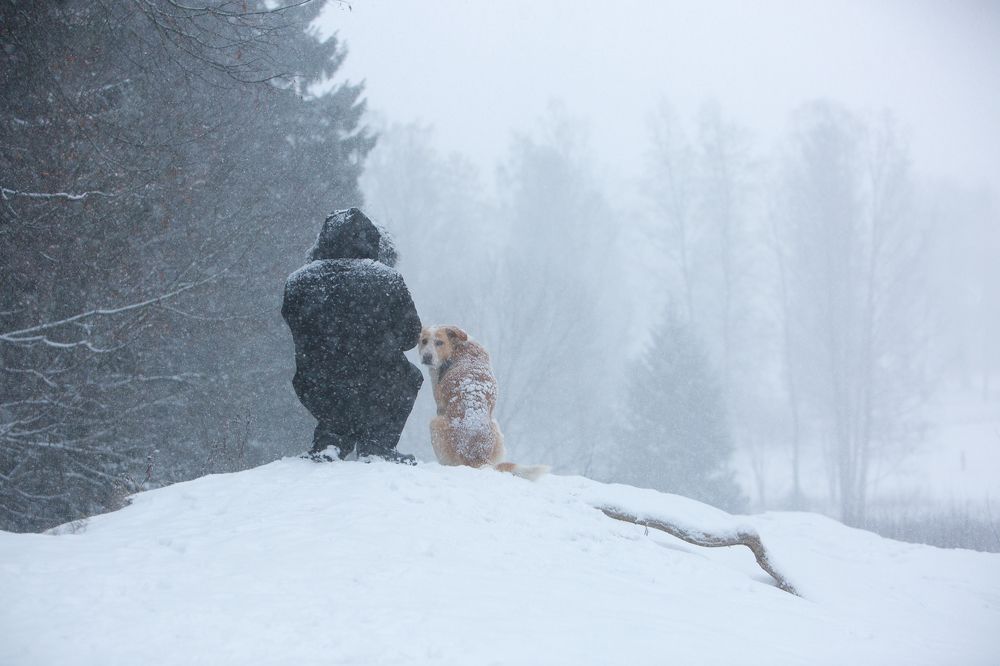 Photograph by Игорь Шерман