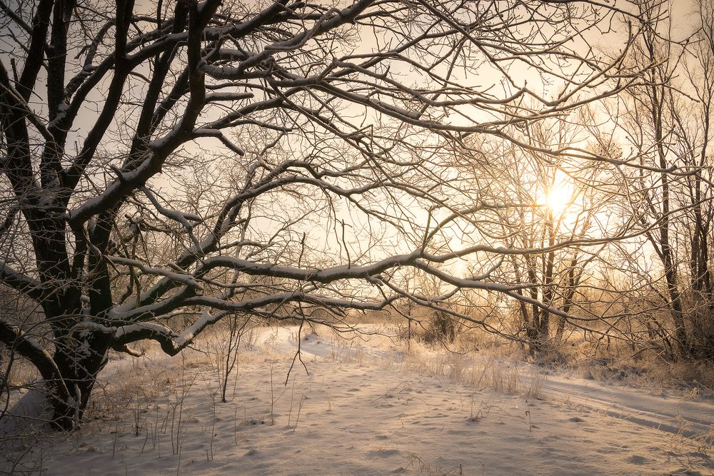 Зимнее солнце