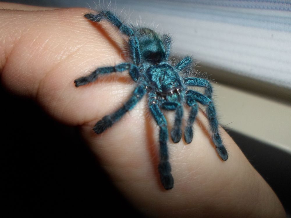 Photograph by Natasha Latinovska