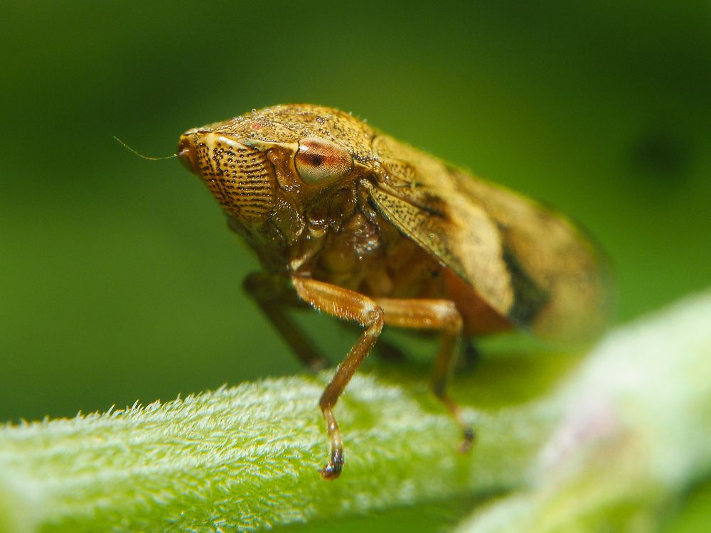 Photograph by Евгения Чепурная