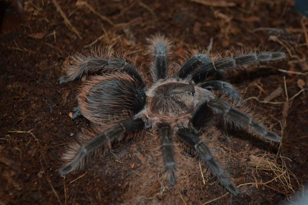 Photograph by Natasha Latinovska