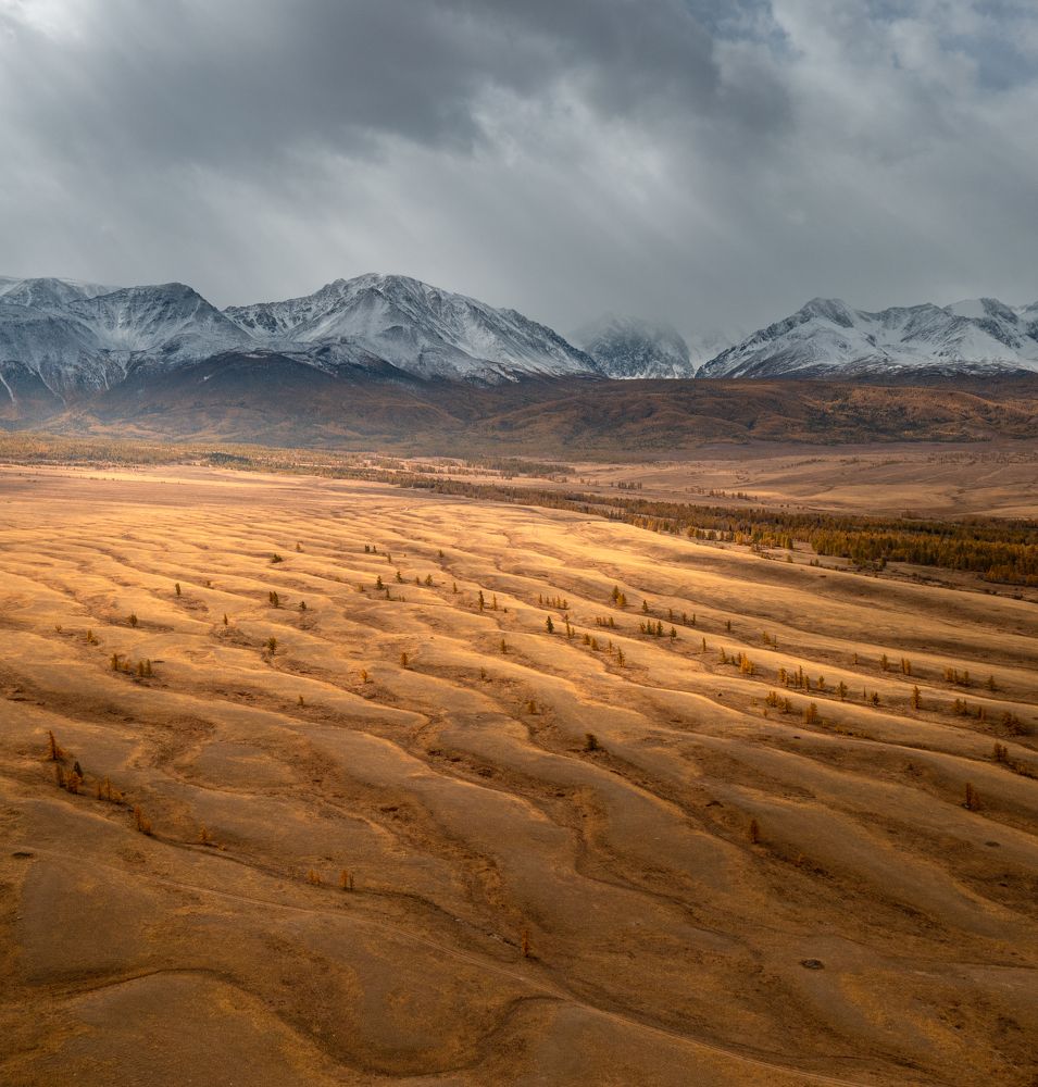 Фотография автора Максим Морозов