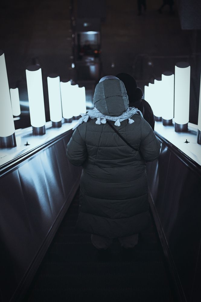 Photograph by Александр Лямцев