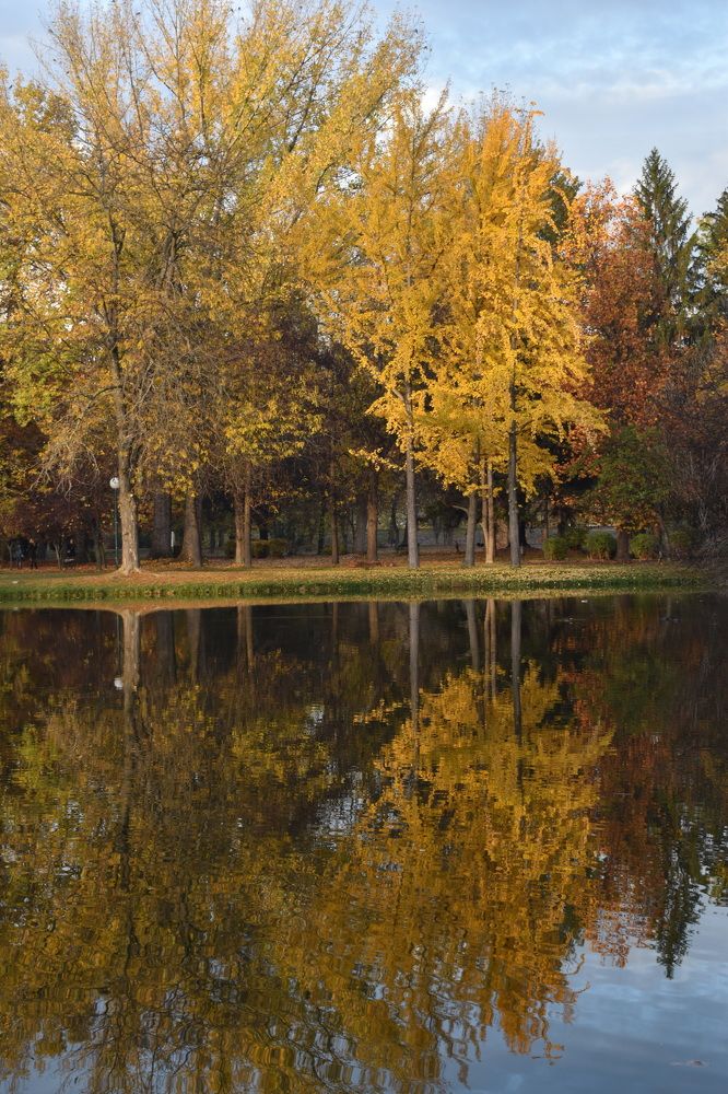 Photograph by Natasha Latinovska