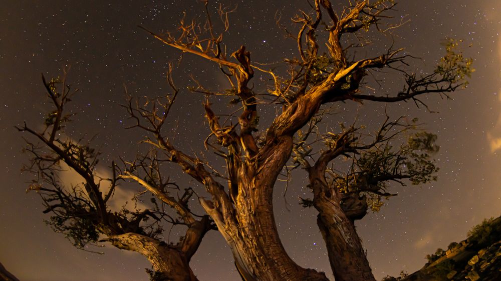 Photograph by Mahendra Pratap Singh