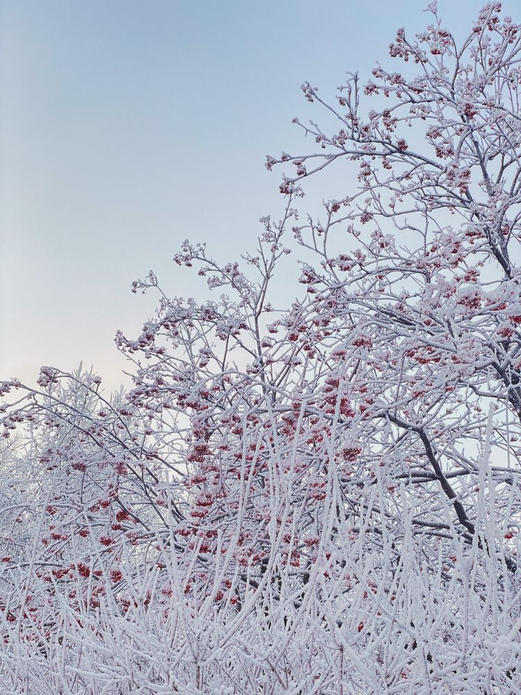 Photograph by Антон Ляпунов