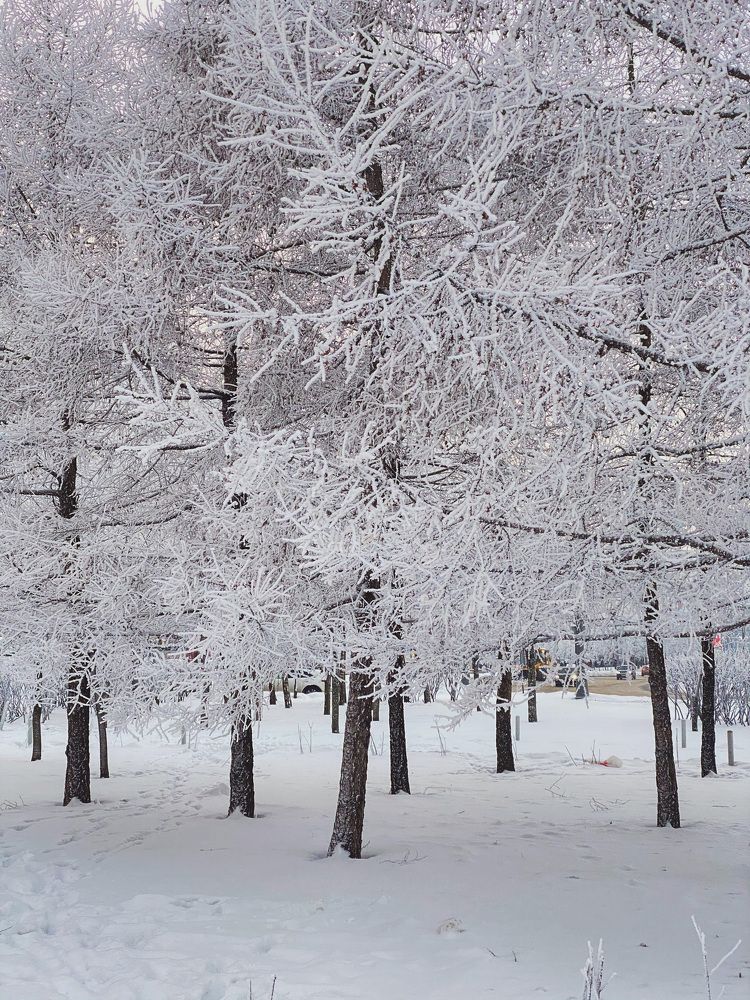 Photograph by Антон Ляпунов