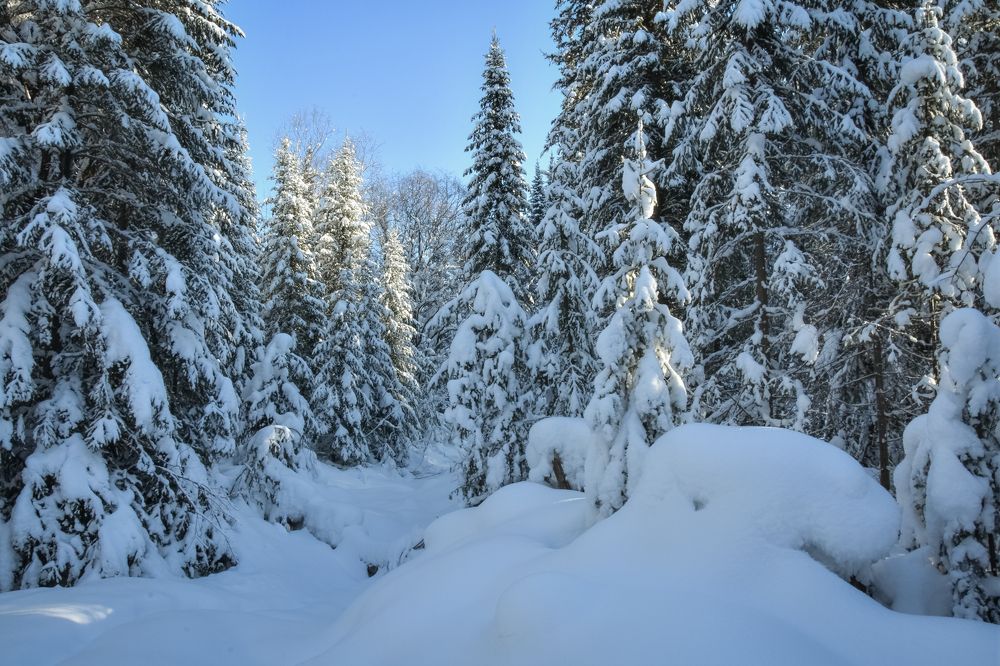 Зима рисует,,,