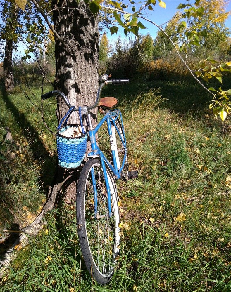 Photo #7011512