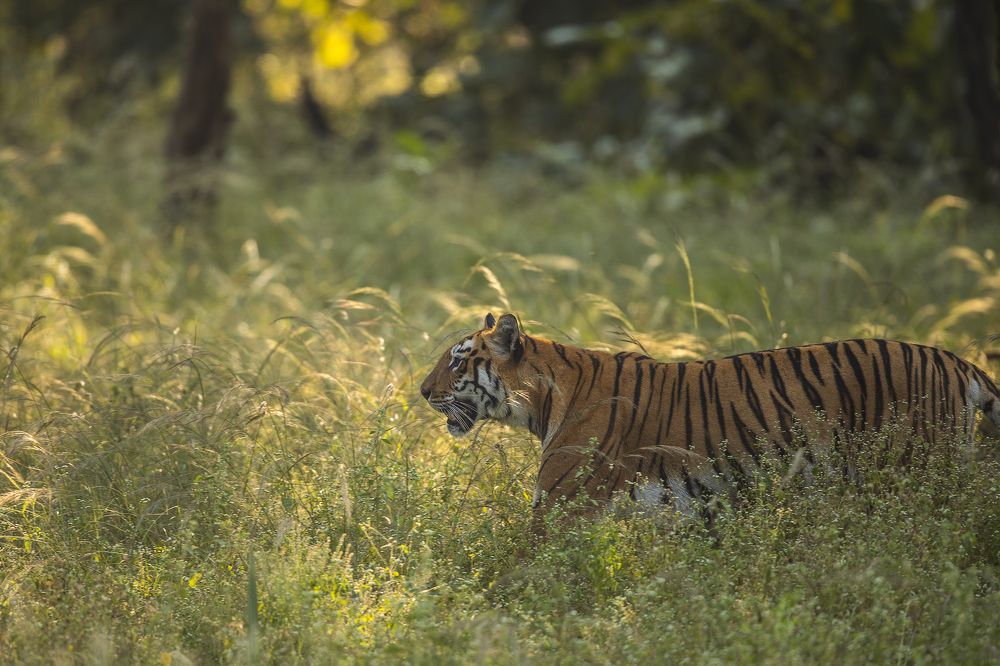 Photograph by Ajay A D