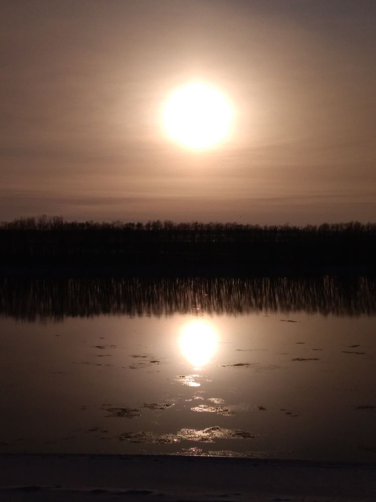 Photo #7011539