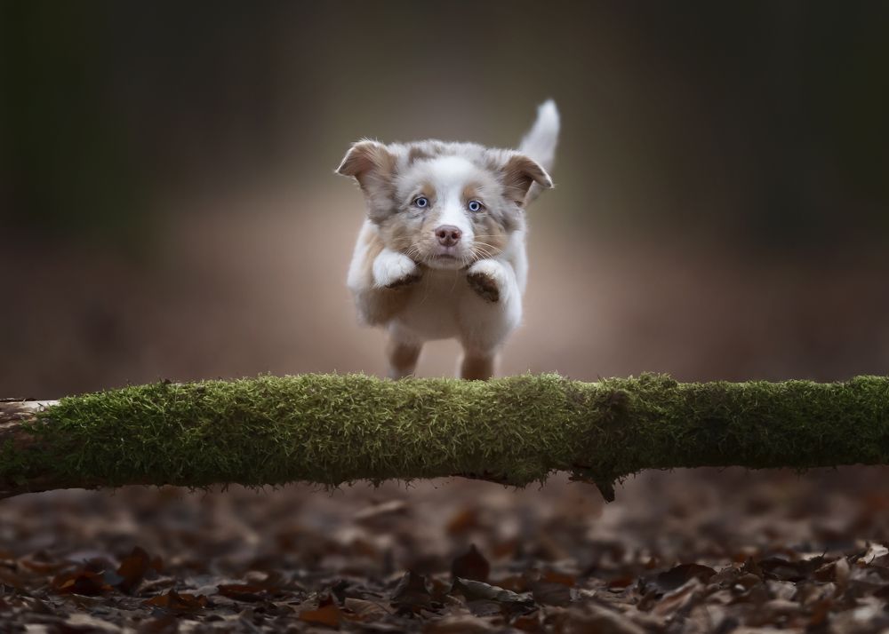 Photograph by Mike Kremer