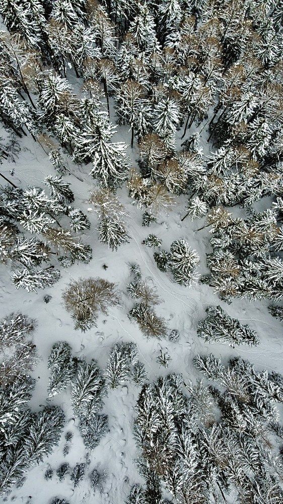 Фотография автора Ольга