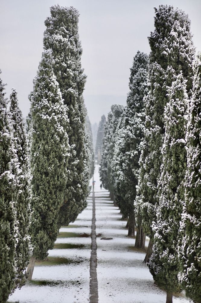 Фотография автора Ольга