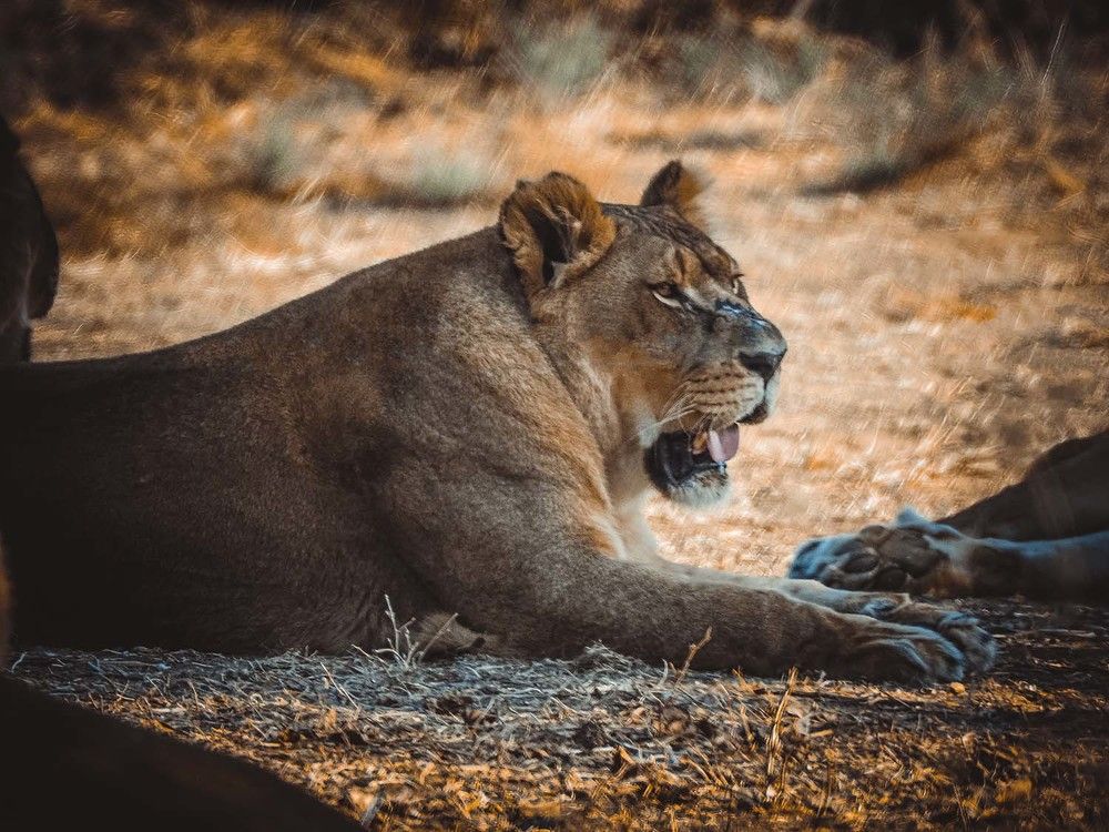 Photograph by Gotcha Biniashvili